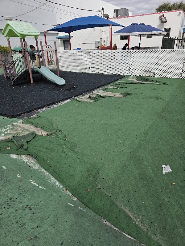 Little Drops of Life